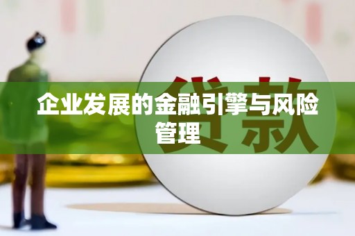 嘉模堂区企业发展的金融引擎与风险管理