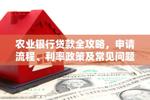 嘉模堂区农业银行贷款全攻略，申请流程、利率政策及常见问题解析