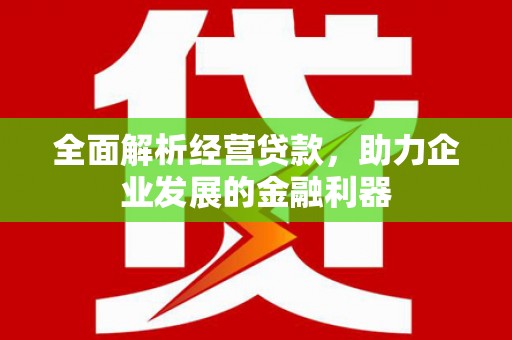 嘉模堂区全面解析经营贷款，助力企业发展的金融利器