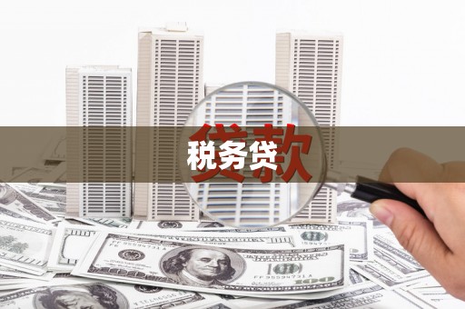 嘉模堂区税务贷