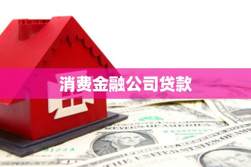 嘉模堂区消费金融公司贷款