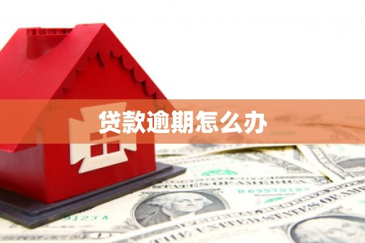 嘉模堂区贷款逾期怎么办
