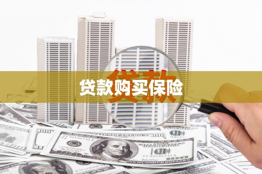 嘉模堂区贷款购买保险