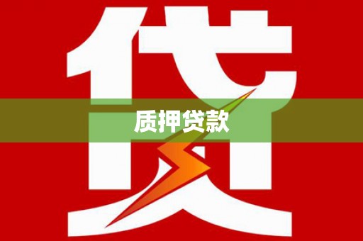 嘉模堂区质押贷款