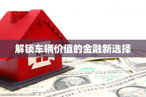 嘉模堂区解锁车辆价值的金融新选择