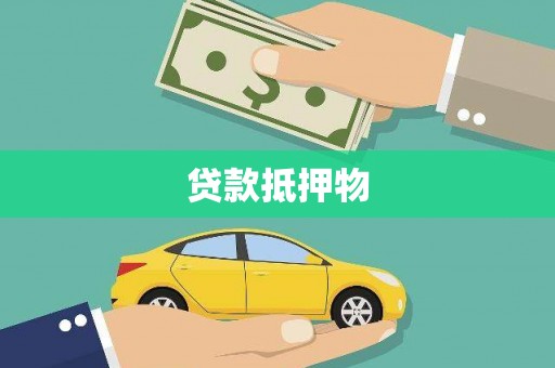 嘉模堂区贷款抵押物
