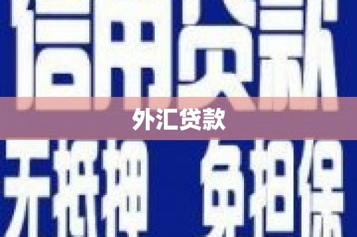 嘉模堂区外汇贷款