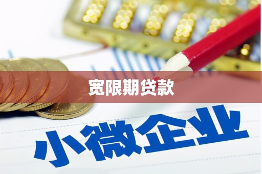 嘉模堂区宽限期贷款