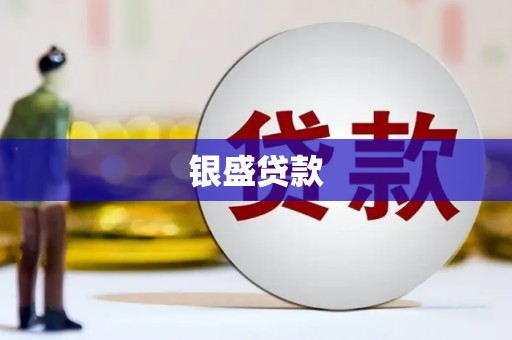 嘉模堂区银盛贷款