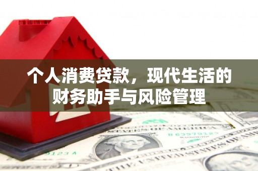 嘉模堂区个人消费贷款，现代生活的财务助手与风险管理