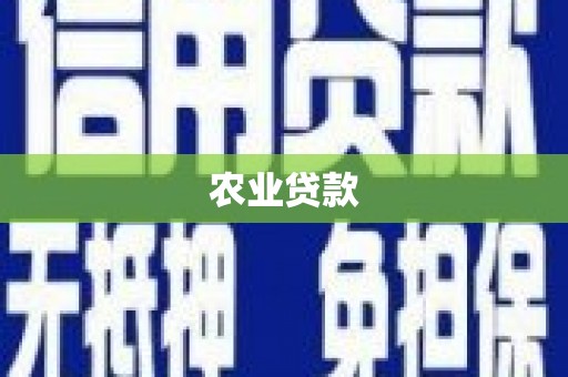 嘉模堂区农业贷款