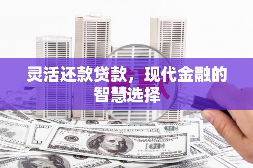 嘉模堂区灵活还款贷款，现代金融的智慧选择