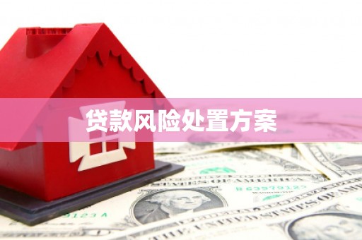 嘉模堂区贷款风险处置方案