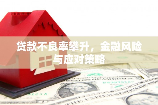 嘉模堂区贷款不良率攀升，金融风险与应对策略