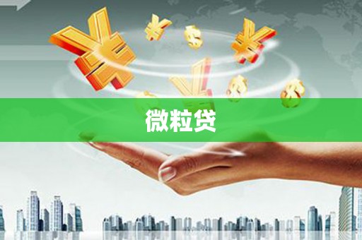 嘉模堂区微粒贷