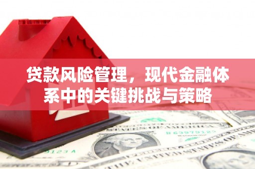 嘉模堂区贷款风险管理，现代金融体系中的关键挑战与策略