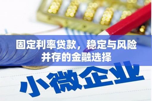 嘉模堂区固定利率贷款，稳定与风险并存的金融选择