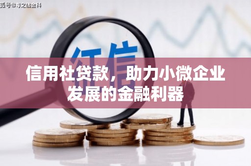 嘉模堂区信用社贷款，助力小微企业发展的金融利器