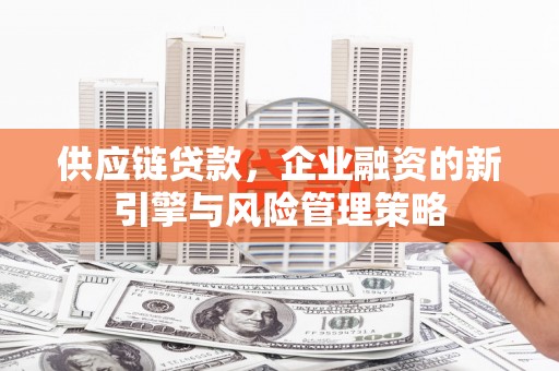 嘉模堂区供应链贷款，企业融资的新引擎与风险管理策略