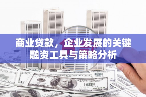 嘉模堂区商业贷款，企业发展的关键融资工具与策略分析
