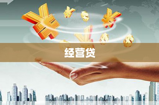 嘉模堂区经营贷