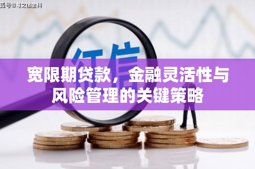 嘉模堂区宽限期贷款，金融灵活性与风险管理的关键策略