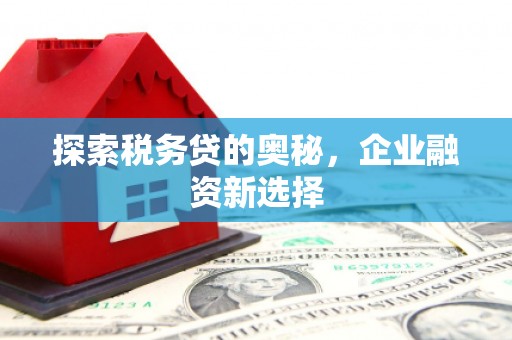 嘉模堂区探索税务贷的奥秘，企业融资新选择