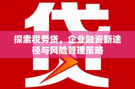 嘉模堂区探索税务贷，企业融资新途径与风险管理策略