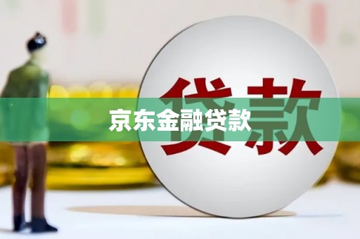 嘉模堂区京东金融贷款