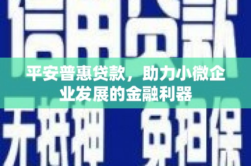 嘉模堂区平安普惠贷款，助力小微企业发展的金融利器