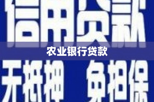 嘉模堂区农业银行贷款