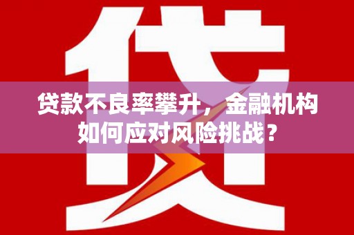嘉模堂区贷款不良率攀升，金融机构如何应对风险挑战？