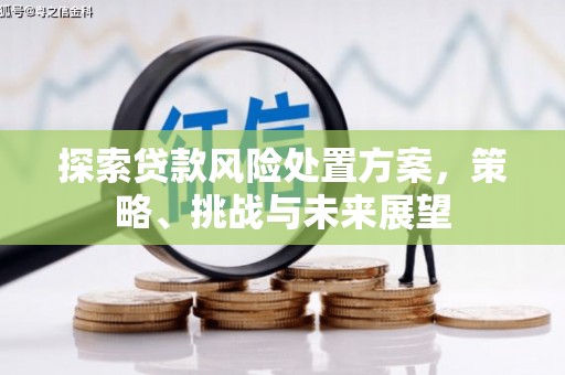 嘉模堂区探索贷款风险处置方案，策略、挑战与未来展望