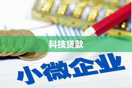 嘉模堂区科技贷款