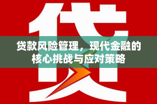 嘉模堂区贷款风险管理，现代金融的核心挑战与应对策略
