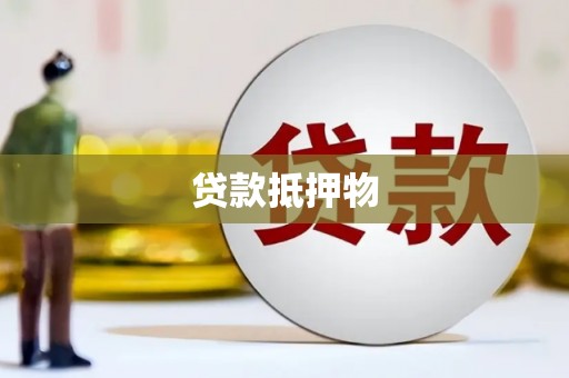 嘉模堂区贷款抵押物