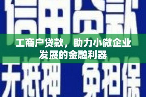嘉模堂区工商户贷款，助力小微企业发展的金融利器