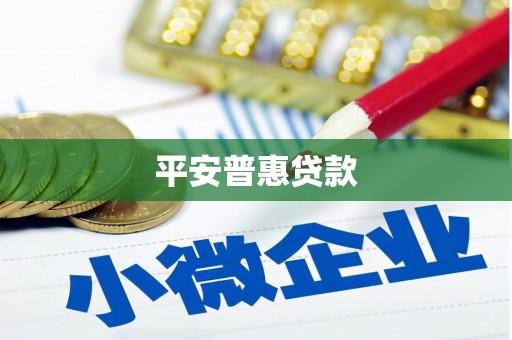 嘉模堂区平安普惠贷款