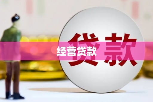 嘉模堂区经营贷款