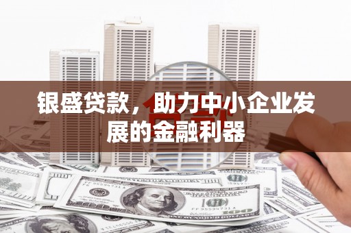 嘉模堂区银盛贷款，助力中小企业发展的金融利器