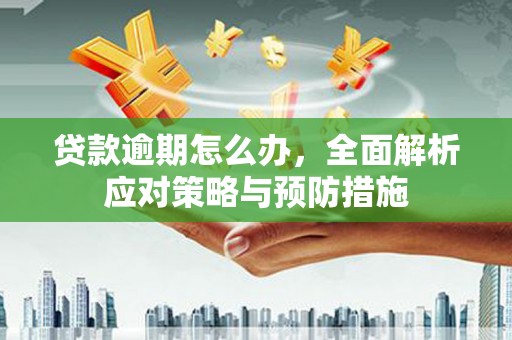 嘉模堂区贷款逾期怎么办，全面解析应对策略与预防措施