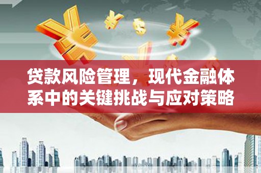 嘉模堂区贷款风险管理，现代金融体系中的关键挑战与应对策略