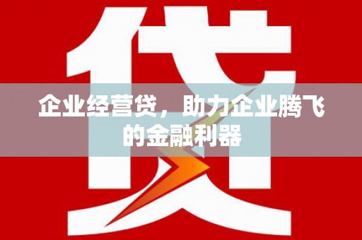 嘉模堂区企业经营贷，助力企业腾飞的金融利器