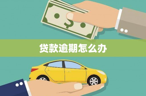 嘉模堂区贷款逾期怎么办