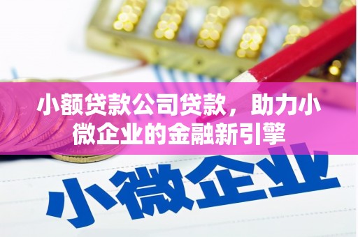 嘉模堂区小额贷款公司贷款，助力小微企业的金融新引擎