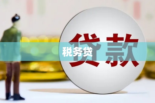 嘉模堂区税务贷