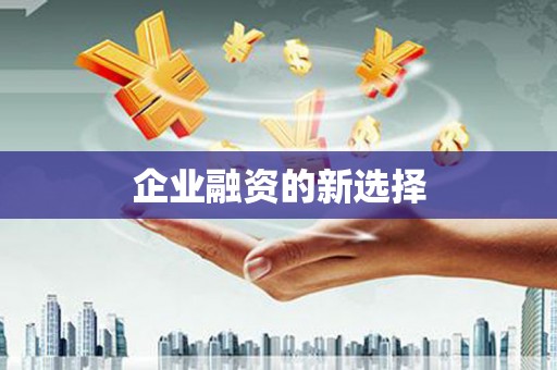 嘉模堂区企业融资的新选择
