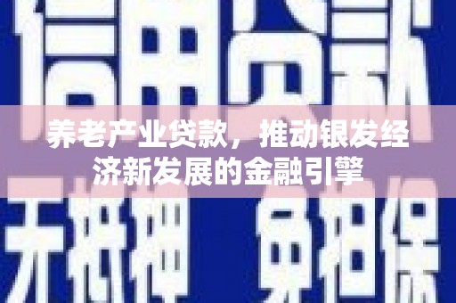 嘉模堂区养老产业贷款，推动银发经济新发展的金融引擎
