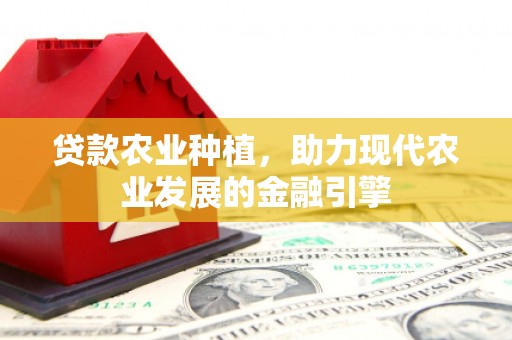 嘉模堂区贷款农业种植，助力现代农业发展的金融引擎