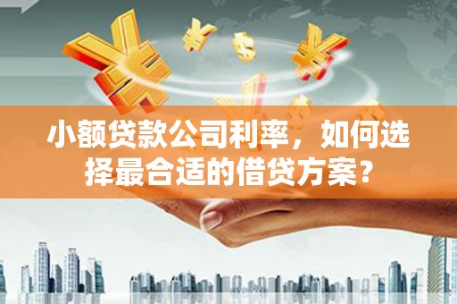 嘉模堂区小额贷款公司利率，如何选择最合适的借贷方案？